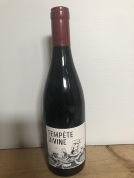 Brouilly Côte de Nervers - Tempête Divine
